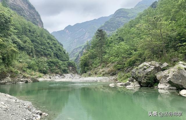 北川黄金树村丨念好“山水经”催开“致富花”