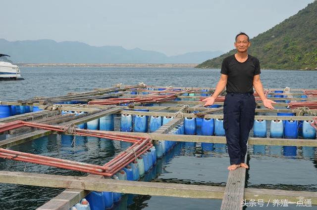 淡水鱼养殖要注意水温变化，掌握规律、注意防病