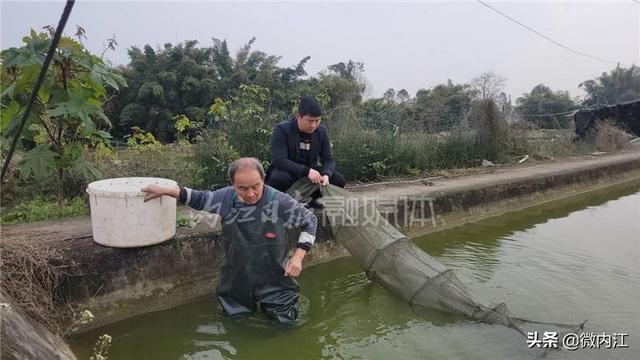 解锁泥鳅繁育“密码”，年产值突破千万元——徐亮，真牛！