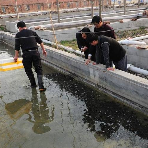 水蛭的生活习性，以及人工养殖技术对它药用价值的影响