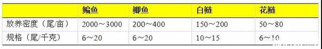 2019年鳊鱼精养技术要点