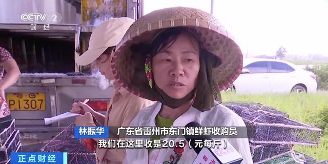 活虾价跌量增，冻虾面临库存压力！全球虾价下行，业内人士分析→