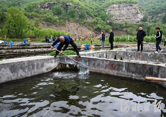 河北井陉：冷水鱼养殖富农家