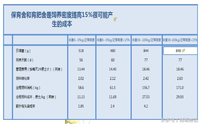 你知道猪群的合理饲养密度吗？