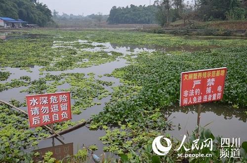 自贡荣县：为残疾人托起就业创业梦想