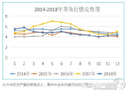 一线专家教你科学规划养殖，赶上好鱼价！