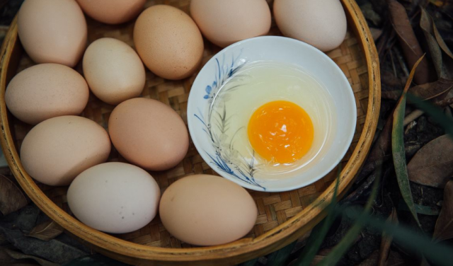 助农销售——土鸡蛋 沙苑子