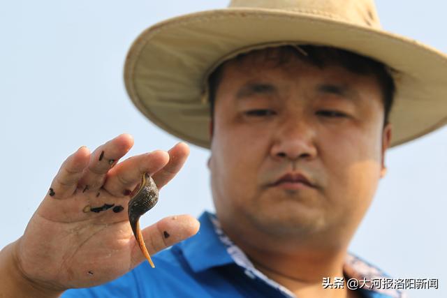 河南90后小伙田里养吸血虫，每天喂食成本6千多元，遭遇村民不理解