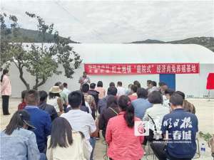 宠物兔养殖厂(300只种兔东川红土地镇首个庭院经济肉兔养殖基地投用)