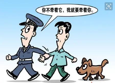 @江北新区养犬人，这里有你想知道的……