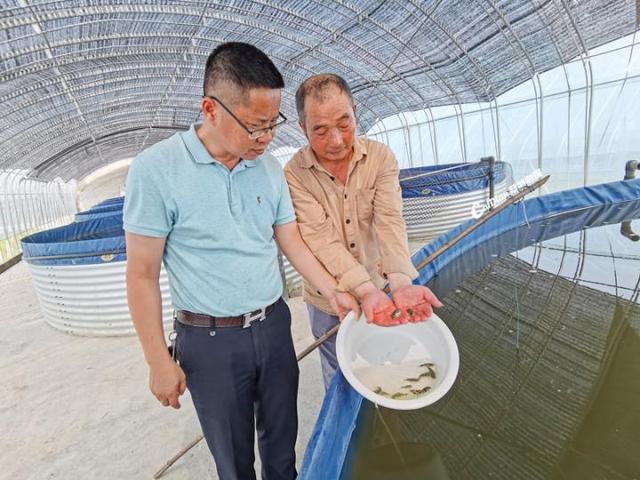 聚齐“长江三鲜” 蔡甸区首次探索河豚繁育养殖