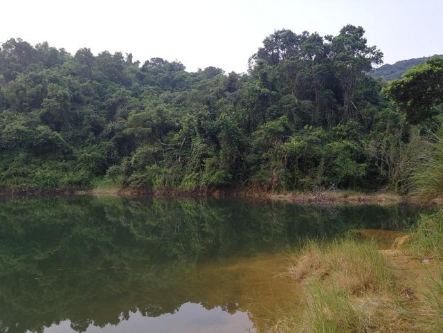 翻山越野来打龟，厉兵秣马换得空空而望