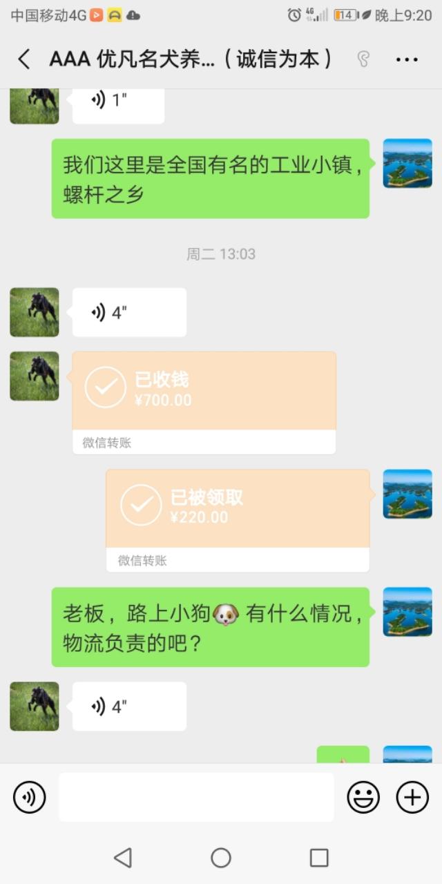 头条的宠物狗广告让我知道了什么叫诚信为本