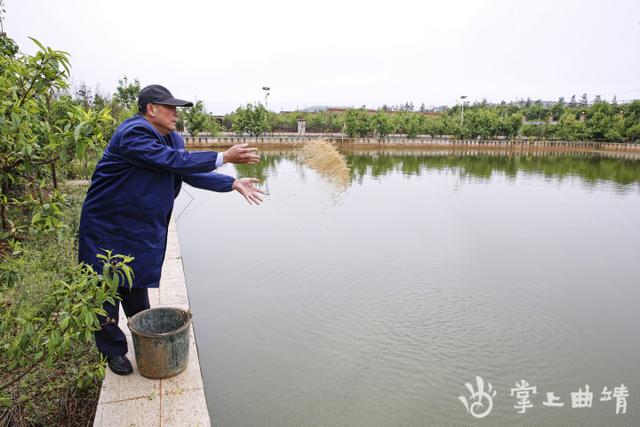 师宗：肉牛养殖“牛劲足”