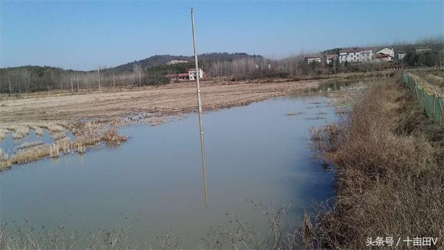 暴力赚钱养殖项目：沙塘鳢