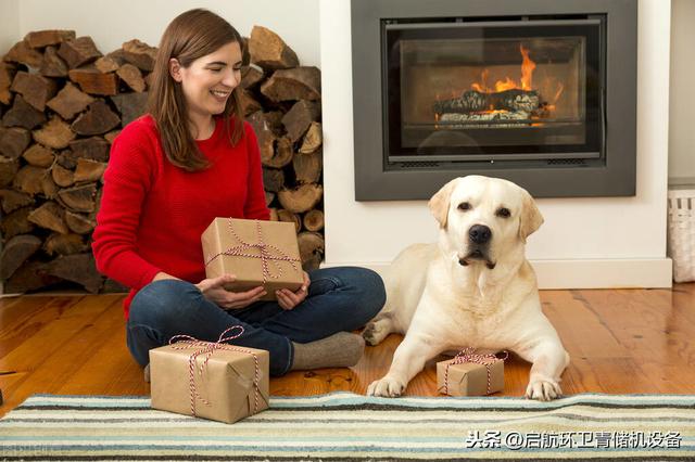 养殖宠物狗利润很高金毛犬，拉布拉多，贵宾、小鹿犬等更适合养殖