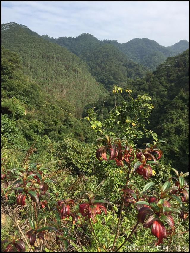 走过山岭，走过岁月，走过我自己