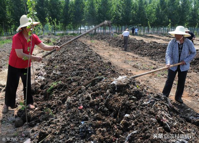 林蛙蚯蚓林地立体养殖，生态互补赚钱“好路子”