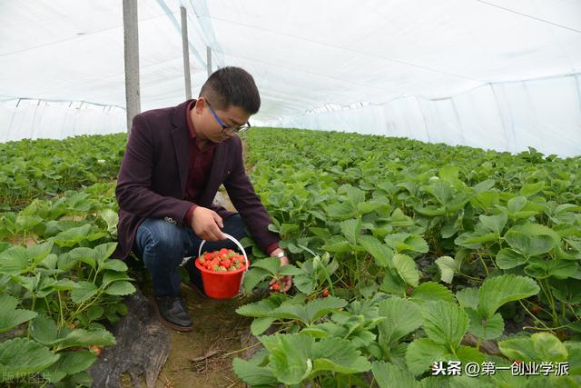 还觉得创业商机在城市？来看看这些农村创业项目，土坡也能变金山