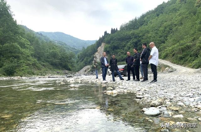 北川黄金树村丨念好“山水经”催开“致富花”