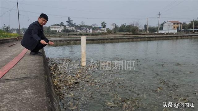 解锁泥鳅繁育“密码”，年产值突破千万元——徐亮，真牛！