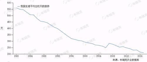 一头猪的生命周期