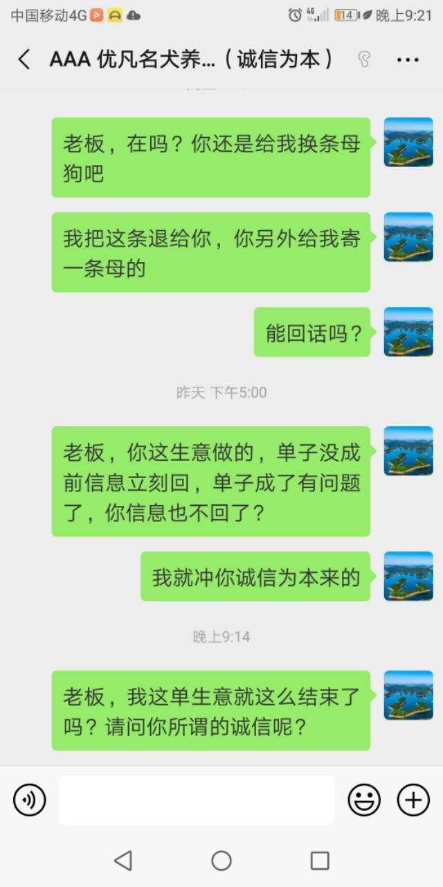 头条的宠物狗广告让我知道了什么叫诚信为本