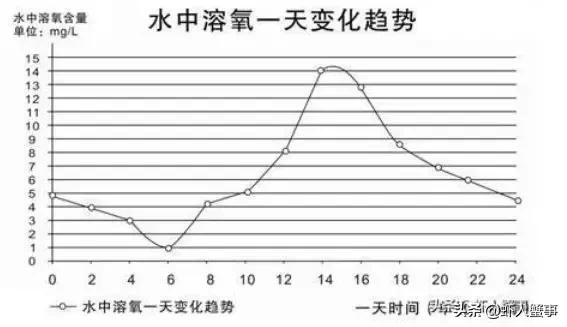 小龙虾养殖户不得不看的池塘基建重点！做好养殖收入加倍