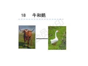 肉牛养殖ppt(部编语文《牛和鹅》课件PPT)