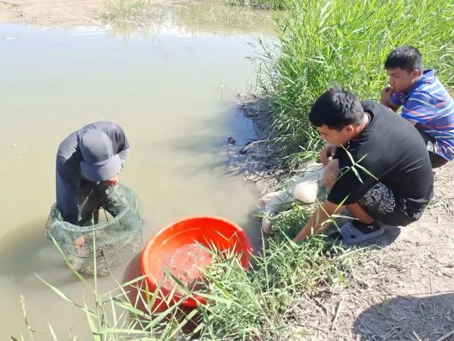 没开玩笑！个大肉厚！新疆真的产“海鲜”！