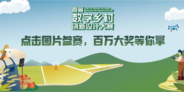 蛋鸡养殖的数字化智慧 人均养12万只鸡、效率比传统模式高3倍