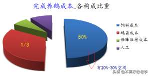 广西鹅养殖(两广人养鹅突围之路——拿下成本占比50%的饲料（上）)