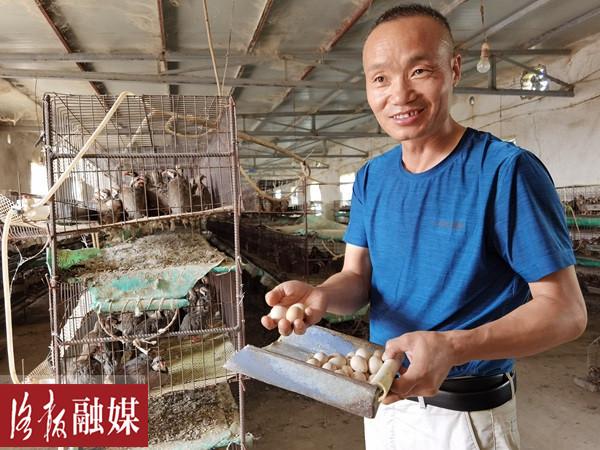 洛阳居然有人养殖这种鸟，曾在《甄嬛传》里出现……