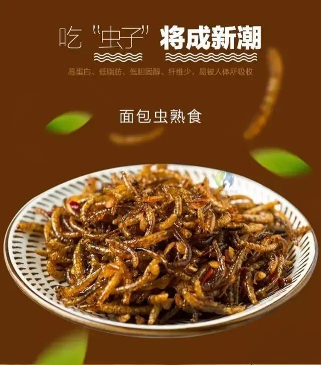 大健康产业崔生新兴食材产业链，特种动物养殖商机再现