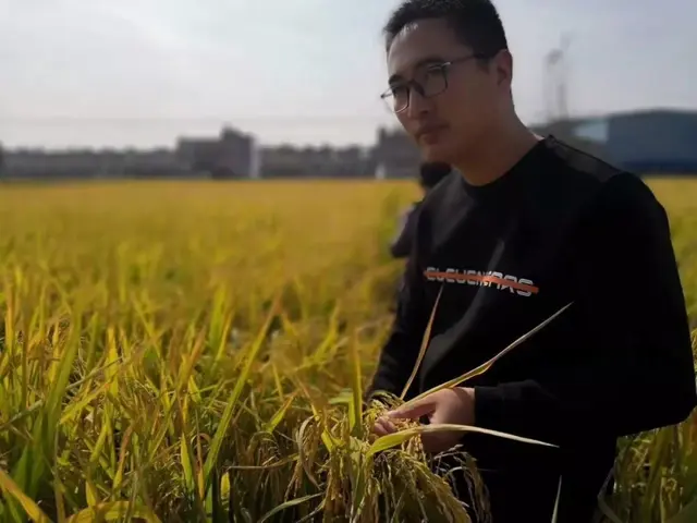 喷香的虾稻米、鲜美的小龙虾、芳香的油菜花，阜南白集村就在这里