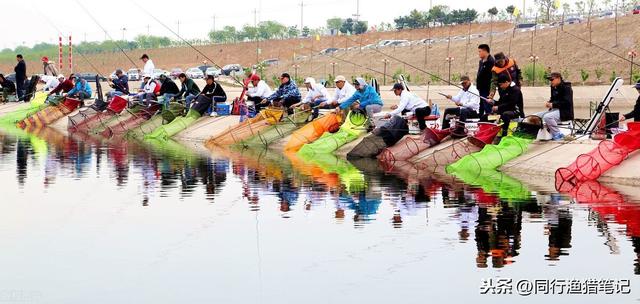 钓鲤鱼用什么打窝？鲤鱼有多种，野生、养殖、生口、滑口均不同