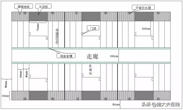 养猪人需要的好资料！高大上的猪舍布局设计图，看过决不后悔