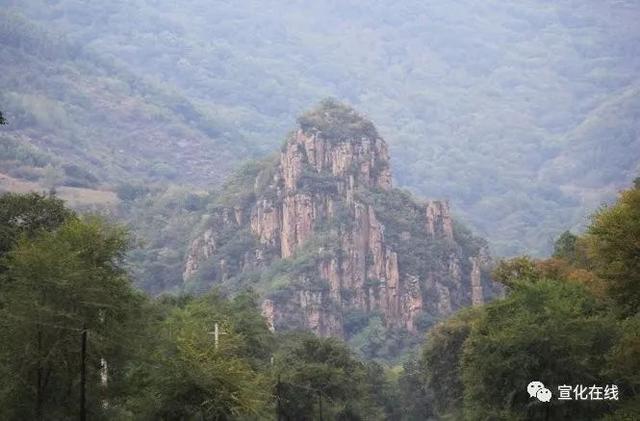 张家口赤城黑龙山森林公园花草丰盛蝶飞蜂舞