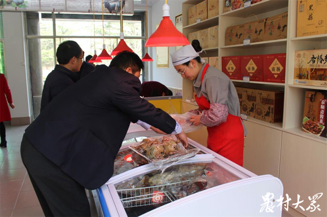 好品山东｜40年保育开发，莱芜黑猪“拱”进全国市场