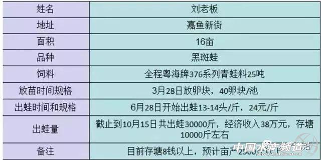 3个月就能养成挣钱，“网红”黑斑蛙应该这样养