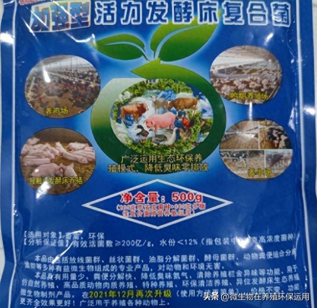 广西桂林刘老板回乡创业养牛善用微生物技术，牛场环保效益好