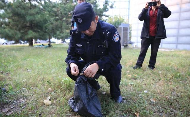 北京望京鳄鱼事件！警方捕获并处理！