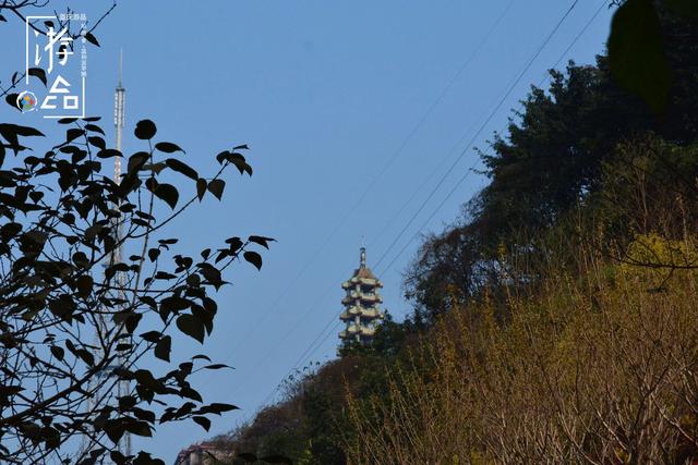 重庆鹅项岭VS鹅岭，蕴藏历史的地名被废，因为本地人图方便？