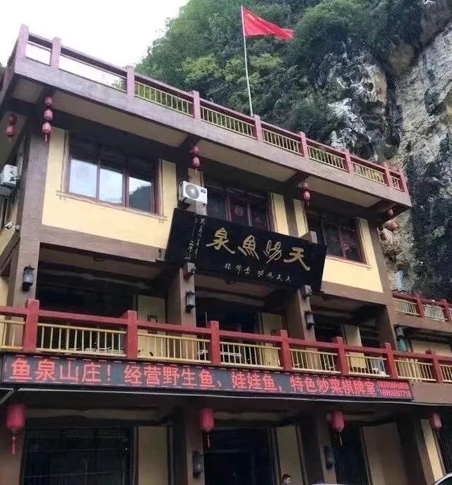 因梦挖出“鱼泉”致富的重庆大爷，现在泉里还有鱼吗？