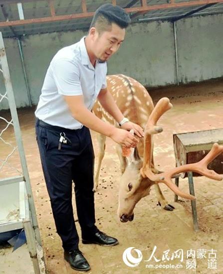 致富有“鹿”让更多农牧民走上小康路