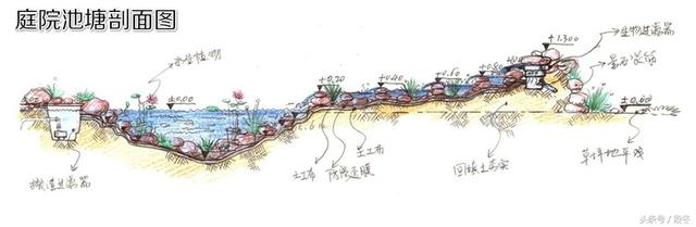 「庭院设计」自己动手在院子里建造一个生态池塘-完整步骤分享