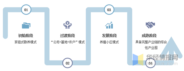 2021年中国鸽业生产形势分析，养殖自动化程度逐渐提高「图」