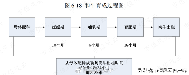 上市前突击分红，利润大幅下滑：龙江和牛，A股首家和牛概念股