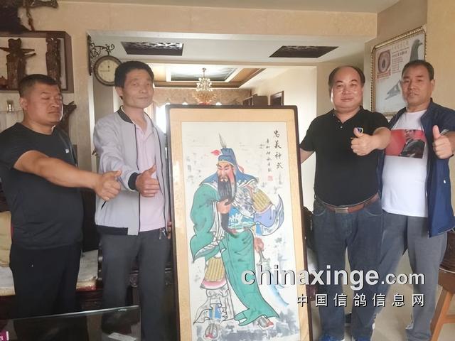 大明宫鸽业马利平：从斗鸟王到公棚鸽王！