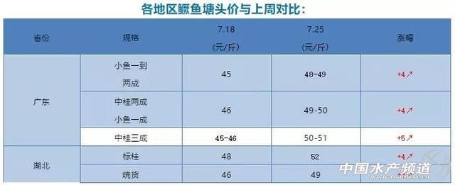 饲料降价！鱼价再上涨，养殖户称“过年”了